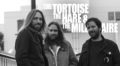 Exclusive Premiere: The Tortoise, The Hare & The Millionaire Debut With Blues-Heavy EP